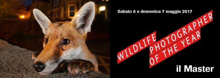 FDB_banner_WPY_master_2017