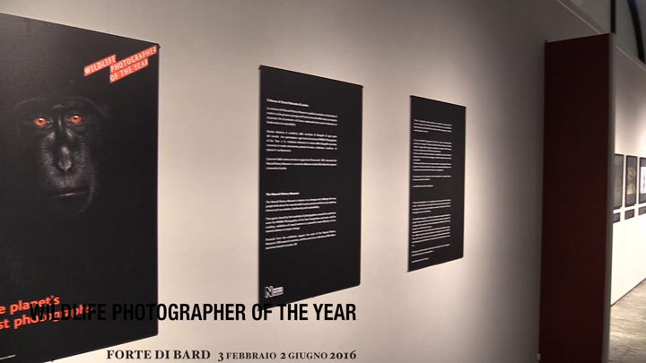 Wildlife Photographer of the Year 2016