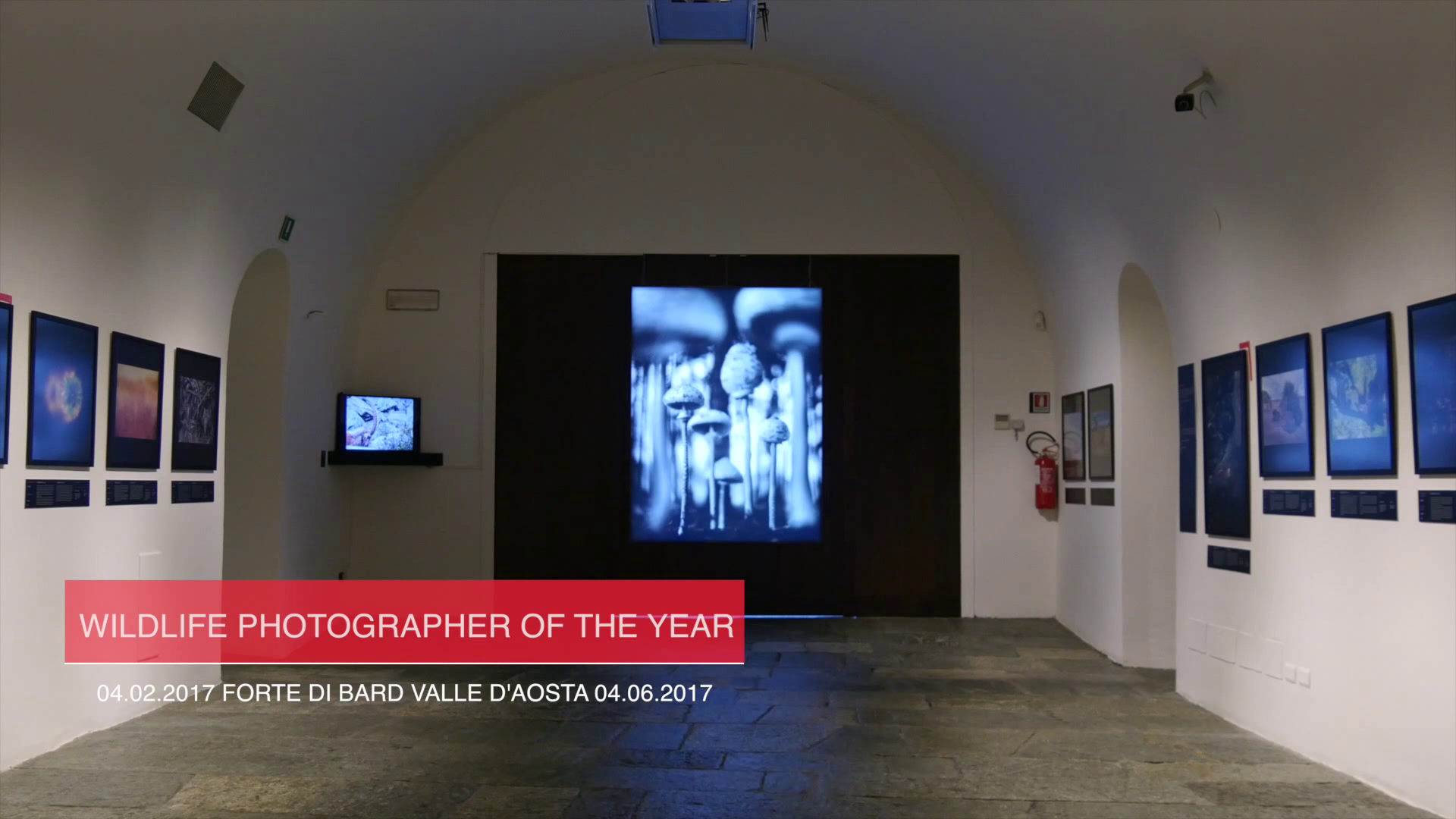 Wildlife Photographer of the Year 2016