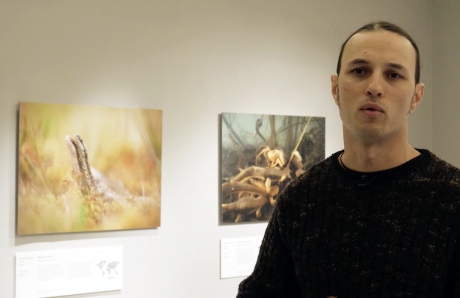 Wildlife Photographer of the Year 2019: intervista a Lorenzo Shoubridge