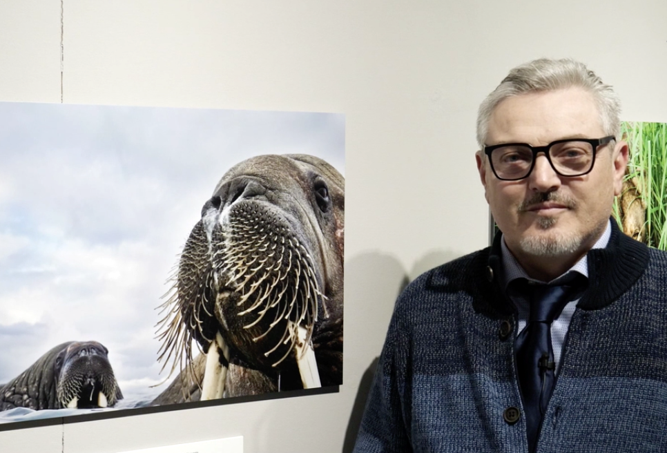 Wildlife Photographer of the Year 2019: intervista a Valter Bernardeschi
